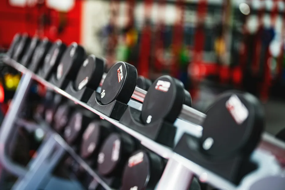 A row of dumbbells arranged in a clean gym setting under bright lighting.