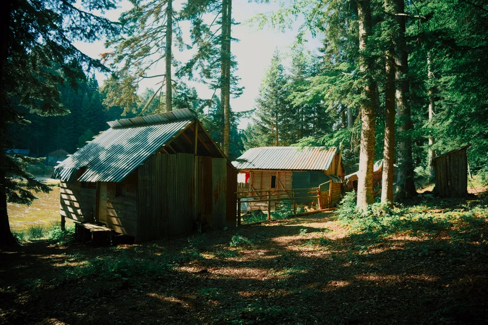 Rustic wooden cabins nestled in a tranquil forest setting, surrounded by trees.