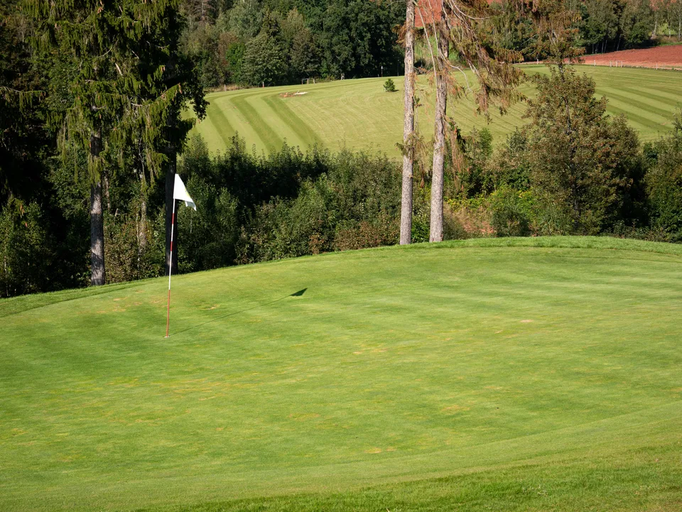 A vibrant green golf course fairway photographed during bright daytime conditions.