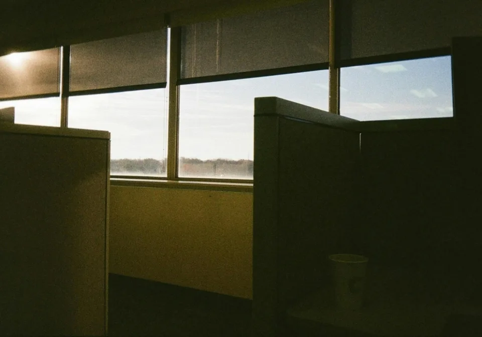 A quiet office cubicle illuminated by morning light from windows at dawn.