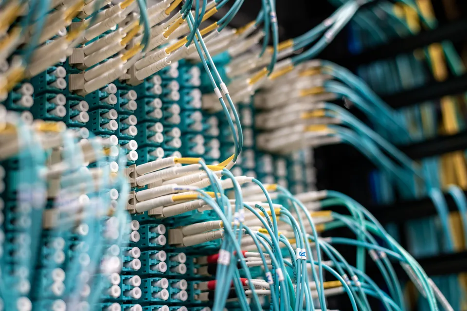 Patch cables plugged into a network patch panel in a data center or server room.