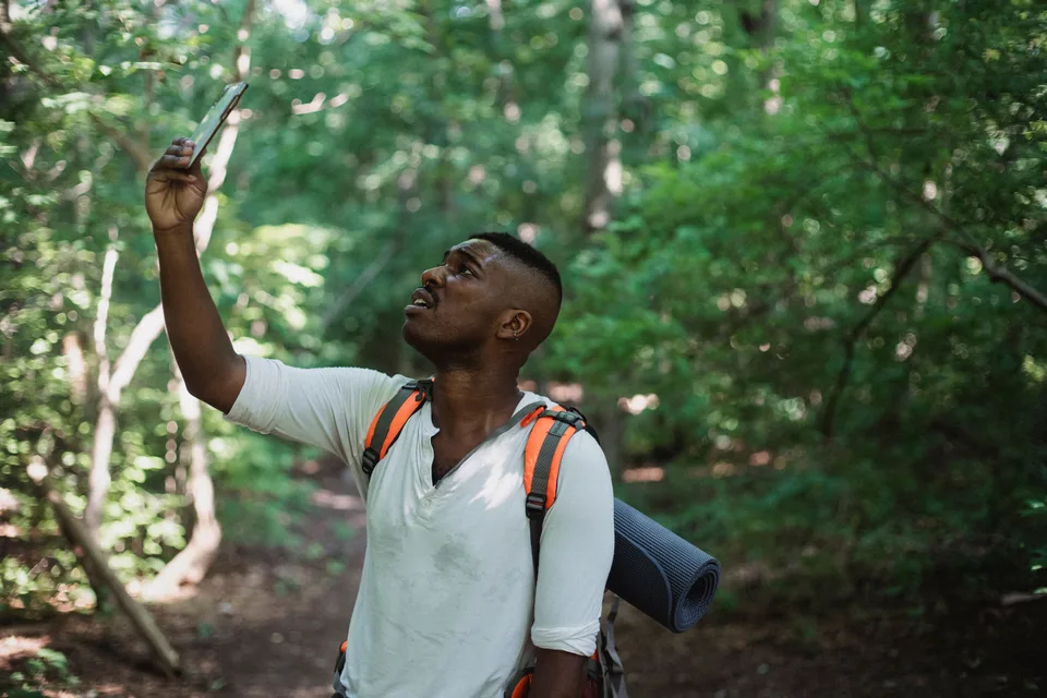 A person searching for phone signal while traveling through a remote forest area.